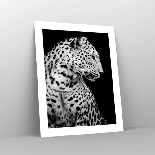 Poster - A Perfect Right Profile  - 40x50 cm