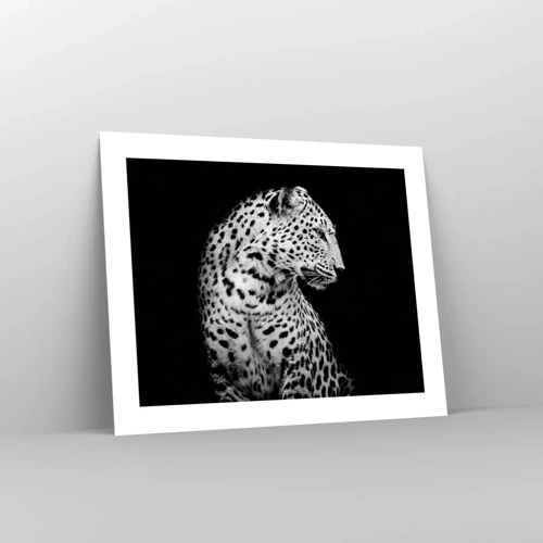 Poster - A Perfect Right Profile  - 50x40 cm