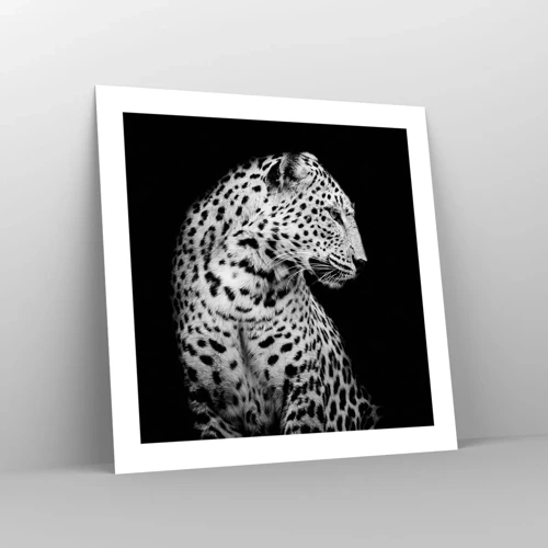 Poster - A Perfect Right Profile  - 50x50 cm