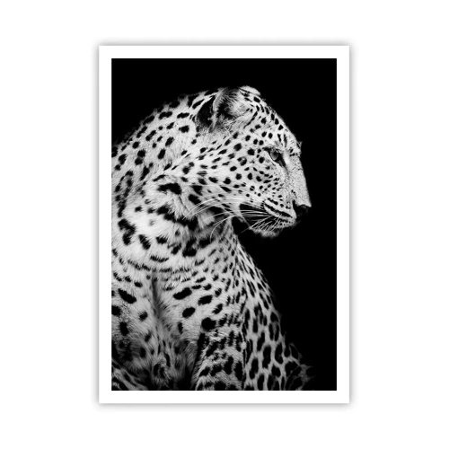 Poster - A Perfect Right Profile  - 70x100 cm