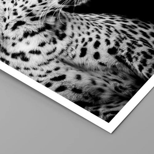 Poster - A Perfect Right Profile  - 70x100 cm