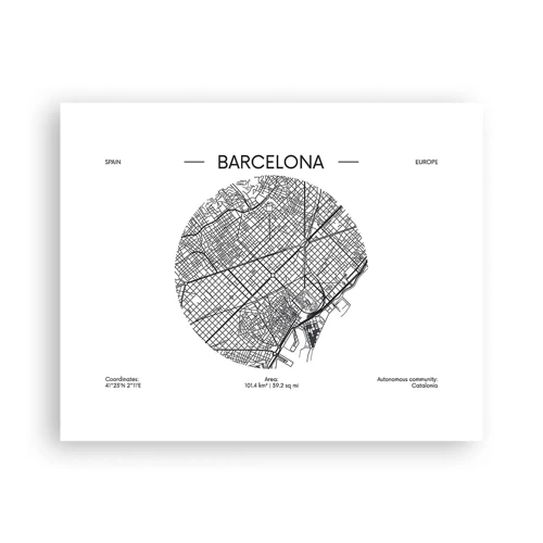 Poster - Anatomy of Barcelona - 50x40 cm