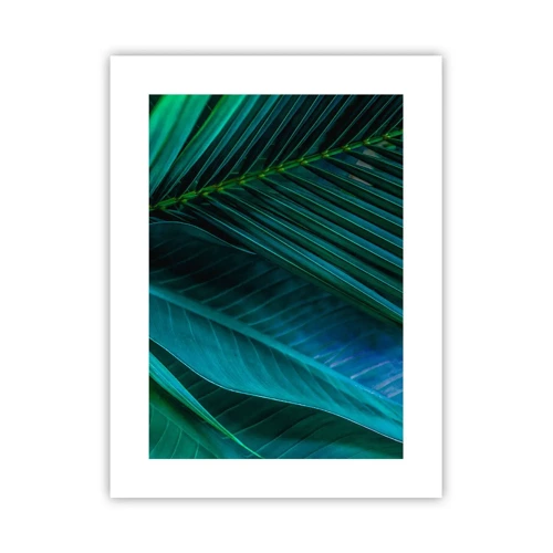 Poster - Anatomy of Green - 30x40 cm