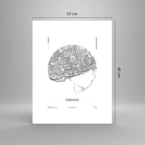 Poster - Anatomy of Toronto - 30x40 cm