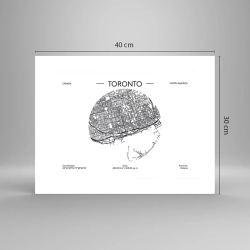 Poster - Anatomy of Toronto - 40x30 cm