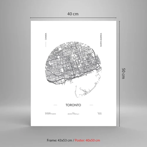 Poster - Anatomy of Toronto - 40x50 cm