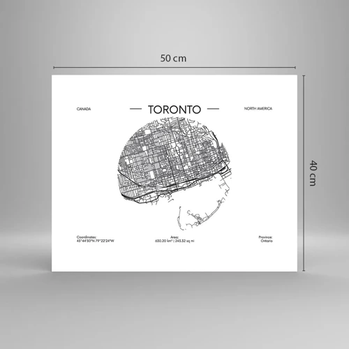 Poster - Anatomy of Toronto - 50x40 cm