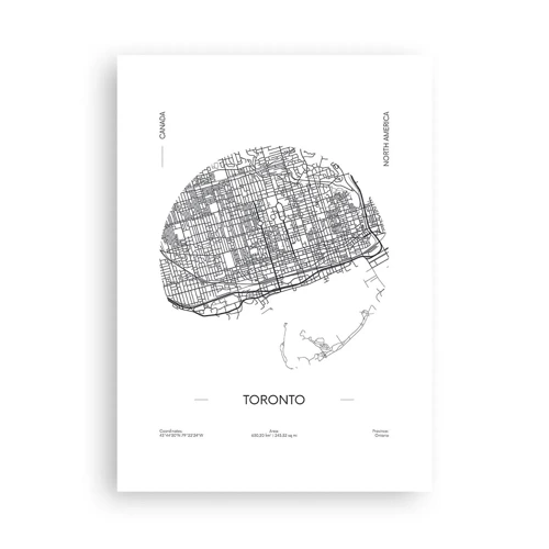 Poster - Anatomy of Toronto - 50x70 cm