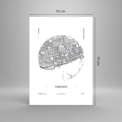 Poster - Anatomy of Toronto - 50x70 cm