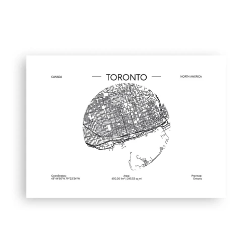 Poster - Anatomy of Toronto - 70x50 cm