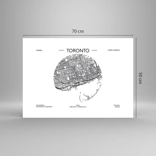 Poster - Anatomy of Toronto - 70x50 cm