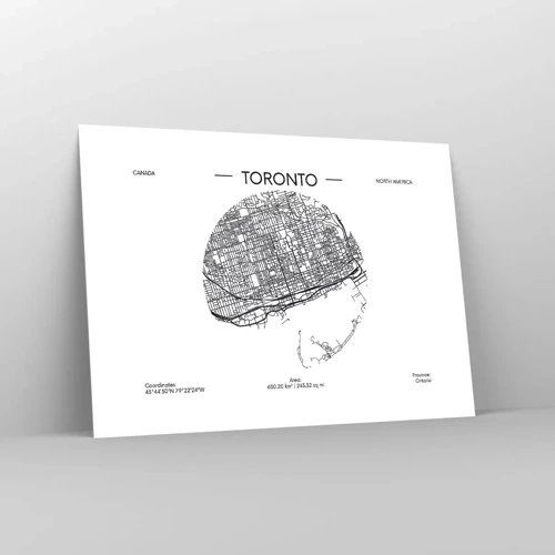 Poster - Anatomy of Toronto - 70x50 cm