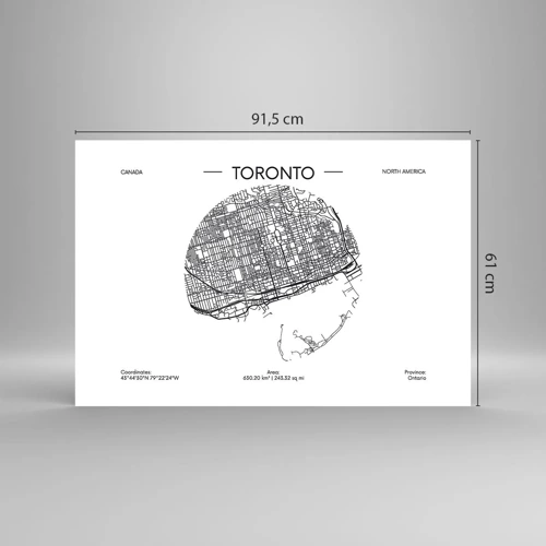 Poster - Anatomy of Toronto - 91x61 cm