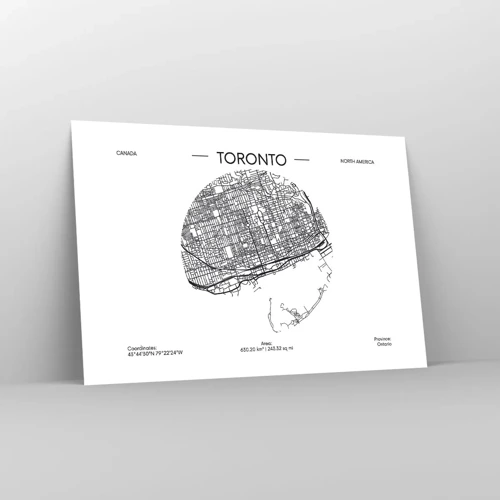 Poster - Anatomy of Toronto - 91x61 cm