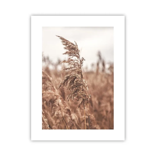 Poster - Autumn Has Arrived in the Fields - 30x40 cm