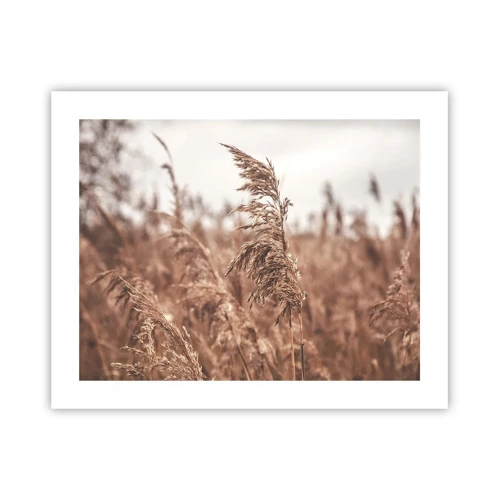 Poster - Autumn Has Arrived in the Fields - 50x40 cm