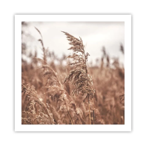 Poster - Autumn Has Arrived in the Fields - 60x60 cm