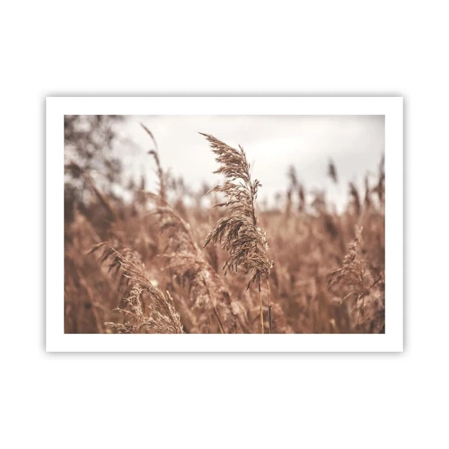 Poster - Autumn Has Arrived in the Fields - 70x50 cm