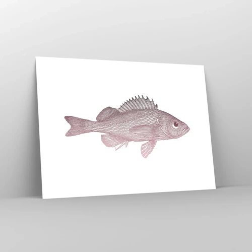 Poster - Big-eyed Fish - 70x50 cm