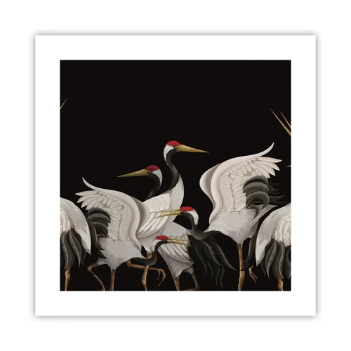 Poster - Bird Affairs - 40x40 cm