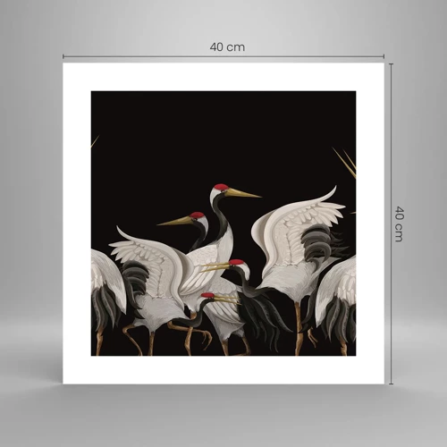 Poster - Bird Affairs - 40x40 cm