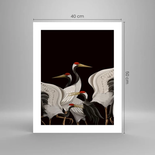 Poster - Bird Affairs - 40x50 cm