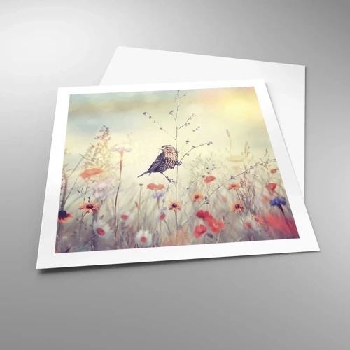 Poster - Bird Portrait with a Meadow in the Background - 60x60 cm