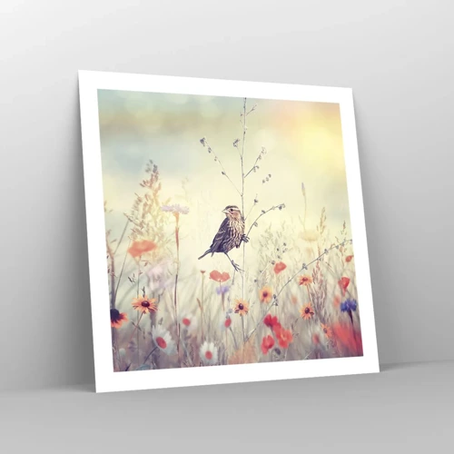 Poster - Bird Portrait with a Meadow in the Background - 60x60 cm