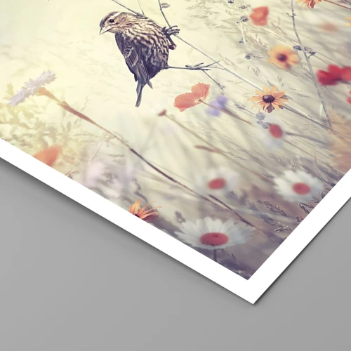 Poster - Bird Portrait with a Meadow in the Background - 60x60 cm