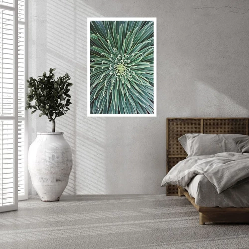 Poster - Birth of a Star - 70x100 cm