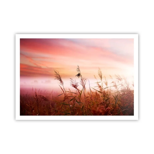 Poster - Blowing in the Wind - 100x70 cm