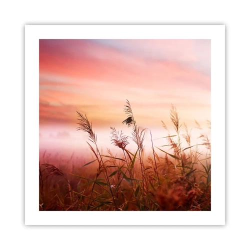 Poster - Blowing in the Wind - 50x50 cm