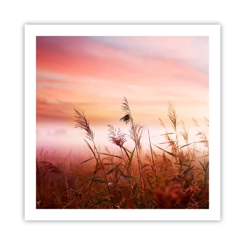 Poster - Blowing in the Wind - 60x60 cm