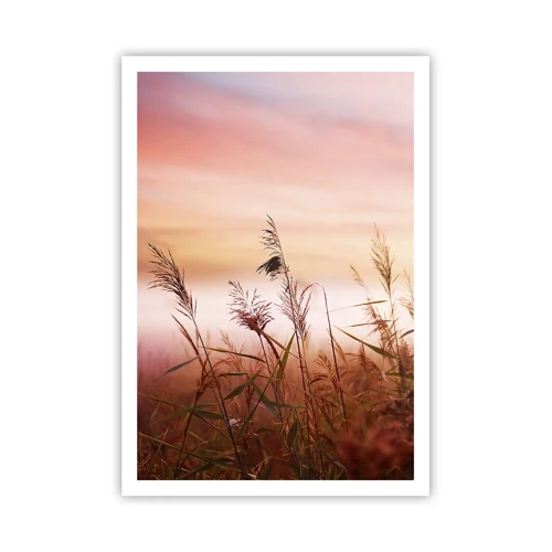 Poster - Blowing in the Wind - 70x100 cm