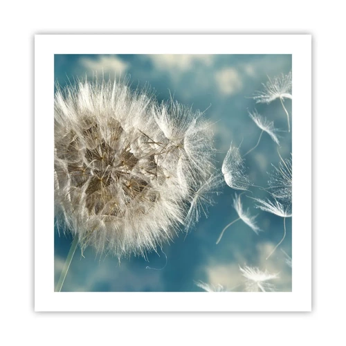 Poster - Breath of an Angel - 50x50 cm