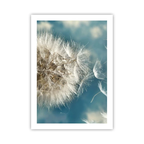 Poster - Breath of an Angel - 50x70 cm