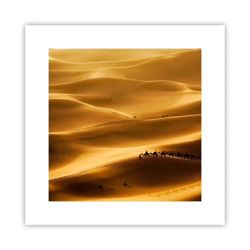 Poster - Caravan on the Waves of a Desert - 30x30 cm