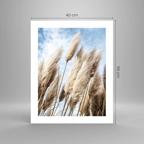 Poster - Caress of Sun and Wind - 40x50 cm
