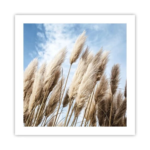 Poster - Caress of Sun and Wind - 50x50 cm