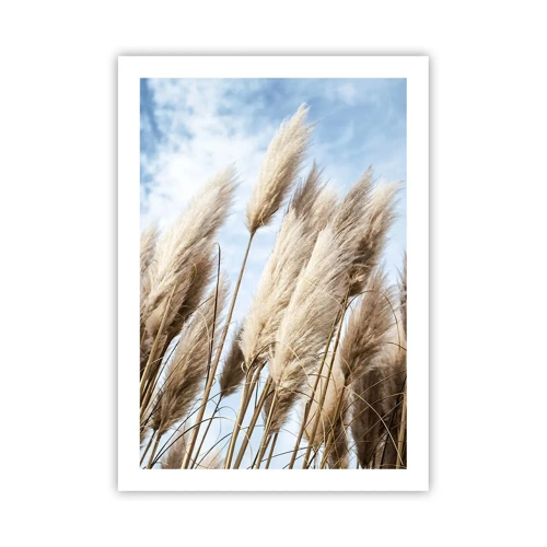 Poster - Caress of Sun and Wind - 50x70 cm