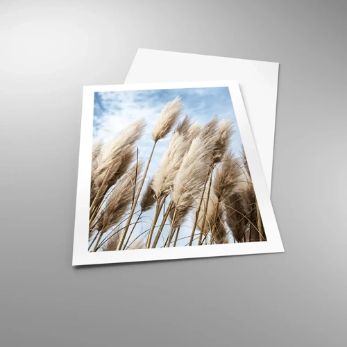 Poster - Caress of Sun and Wind - 50x70 cm