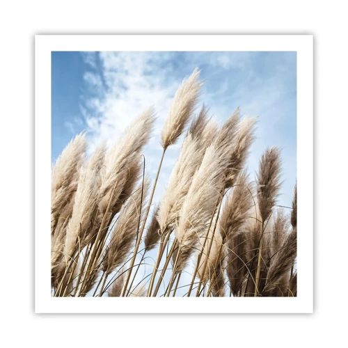 Poster - Caress of Sun and Wind - 60x60 cm