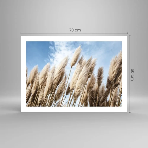 Poster - Caress of Sun and Wind - 70x50 cm