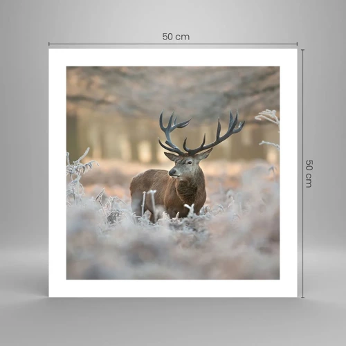 Poster - Chilly Morning - 50x50 cm