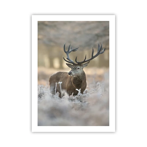 Poster - Chilly Morning - 50x70 cm