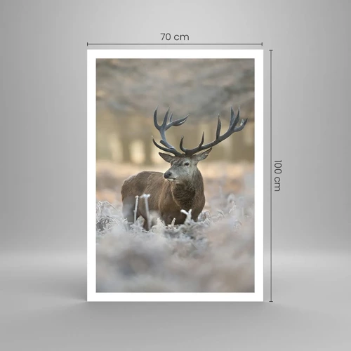 Poster - Chilly Morning - 70x100 cm