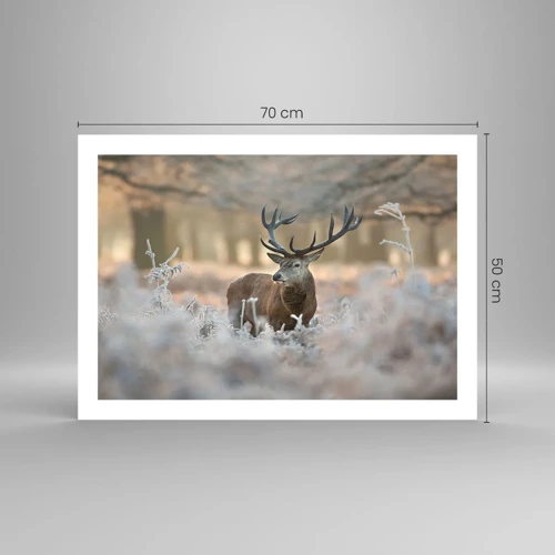 Poster - Chilly Morning - 70x50 cm