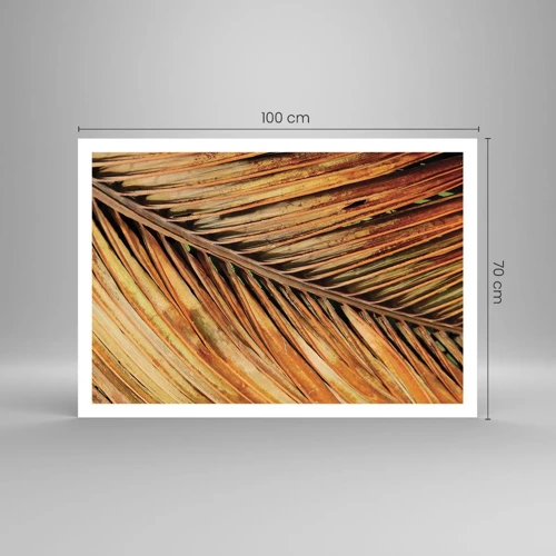 Poster - Coconut Gold - 100x70 cm