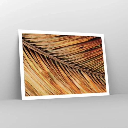 Poster - Coconut Gold - 100x70 cm