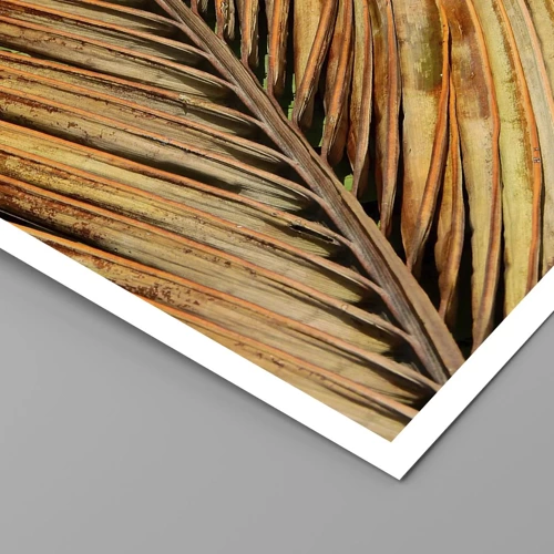 Poster - Coconut Gold - 100x70 cm